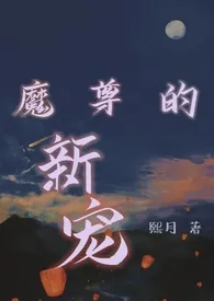 魔尊的新宠作者:熙月 全本免费阅读