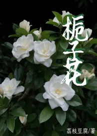 荔枝豆腐心著作《栀子花 (父女1v1)》小说全文阅读