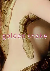 兔子饭著作《金蛇（FUTA 女同 ABO）》小说全文阅读