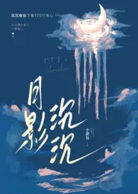 月影沉沉1970全章节阅读 月影沉沉小说免费阅读