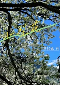 《小梨花(校园h 1V1)》1970最新章节 小梨花(校园h 1V1)免费阅读