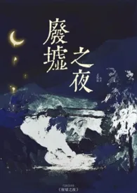 《废墟之夜(1v1,H,县城文学)》1970版小说全集 老瓦盆完本作品