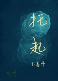 托起(小番外)小说完结版免费阅读(作者:念可)