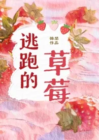 《逃跑的草莓(1v1年下,男高,师生)》小说在线阅读 锦瑟作品