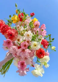 她是一朵难养的花(兄妹骨科h)作者:小熊说话啊 全本免费阅读