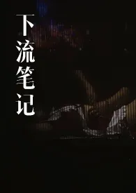 下流笔记,【真实】SM圈内往事作者:阁楼上的疯女人 全本免费阅读
