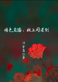 《(BG高H)情色直播,被上司逮到》2024版小说全集 许金盏完本作品