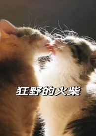 《狂野的火柴(姐弟骨科)》小说在线阅读 纸皮桃子作品