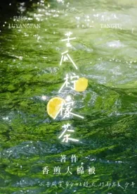 2024全新版本《苦瓜柠檬茶》 香煎大棉被作品完结免费阅读