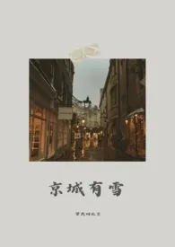 带我回北京著作《京城有雪》小说全文阅读