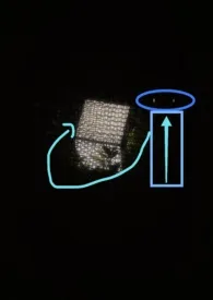 《你的尾巴》2025最新章节 你的尾巴免费阅读