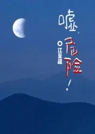 《嘘,危险(1v2)》小说大结局 江至疏最新力作