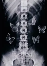 【二战】腹中蝴蝶〔年龄差、1V1、粗暴sex〕小说完结版免费阅读(作者:Ruriko404)