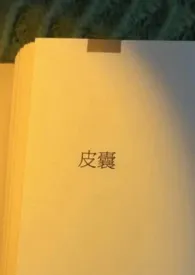 2024全新版本《皮囊(出轨,H)》 小北橘作品完结免费阅读