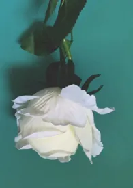 有形之物与无形之物(架空/剧情)小说完结版免费阅读(作者:花眠)