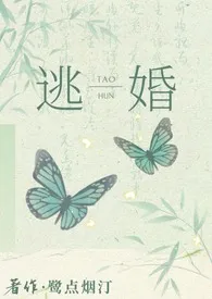《逃婚后去往何处（NPH）》2025版小说全集 鹭点烟汀完本作品