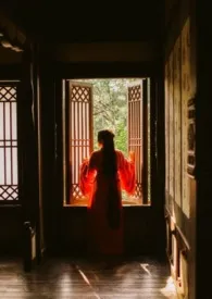 《红雨》1970版小说全集 宣律完本作品