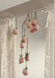 穿越单元合集 gl作者:柳莳澜 全本免费阅读