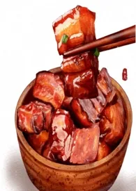 一碗炖肉小说完结版免费阅读（作者：肉豆蔻）