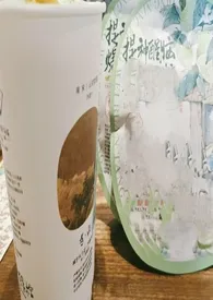 柠檬加盐气泡水(兄妹骨)小说完结版免费阅读(作者:画舟鱼)