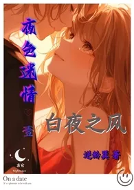 《夜色迷情·壹·白夜之风》2025版小说全集 逆龄巽完本作品