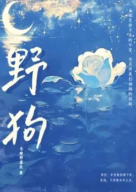 《野狗(姐弟骨科H)》小说在线阅读 冬晴野荔枝作品
