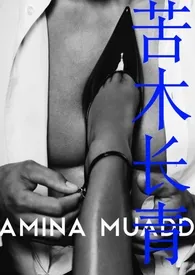 《苦木长青（女B男A）》小说在线阅读 比三毛多一毛作品