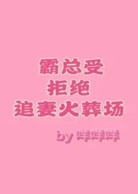 《霸总受拒绝追妻火葬场［纯百］》2025最新章节 霸总受拒绝追妻火葬场［纯百］免费阅读