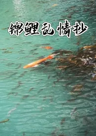 锦鲤乱情抄(NP)最新章节目录 锦鲤乱情抄(NP)全本在线阅读