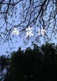 《雨霖泠(sc,强制爱,前世今生)》2025最新章节 雨霖泠(sc,强制爱,前世今生)免费阅读