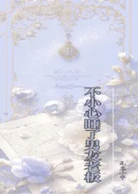 《不小心睡了男友老板（1v2）》小说在线阅读 无名小卒作品