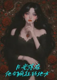 《月光落在他们疯狂的地方(NPH)》2025最新章节 月光落在他们疯狂的地方(NPH)免费阅读