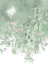 夜幕喧嚣小说完结版免费阅读(作者:月然)