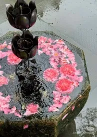 饲育1.0小说完结版免费阅读（作者：陈皮盐水梅）