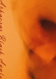 逗号著作《阿肯色黑苹果(伪骨)》小说全文阅读