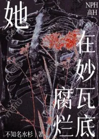 不知名水杉著作《她在妙瓦底腐烂(NPH)》小说全文阅读