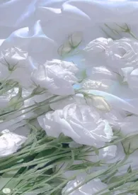 《各种票文合集》2026版小说全集 青山妩媚（旧时玛丽苏版）完本作品