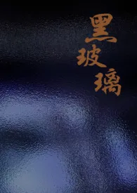 黑玻璃作者:盒粒 全本免费阅读