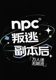 npc叛逃副本后(无限流np)小说完结版免费阅读(作者:我劝你小心点)