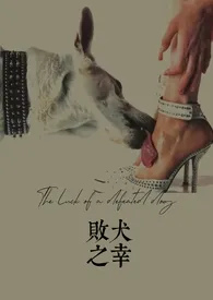 垃圾大王著作《败犬之幸》小说全文阅读