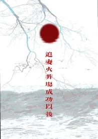 《追妻火葬场成功以后》小说在线阅读 玛丽小洋作品