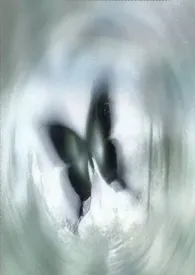 落网1V1小说完结版免费阅读（作者：蝴蝶雨）
