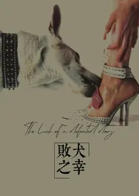 《败犬之幸》2025最新章节 败犬之幸免费阅读