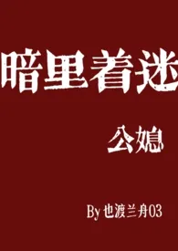 暗里着迷（公媳乱伦）作者：也渡兰舟03 全本免费阅读
