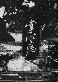 《掌心痣》1970版小说全集 淮南下小雨完本作品