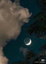 康桥著作《长夜(nph/强制/骨科)》小说全文阅读