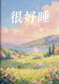 《很好睡(1V1H)》小说在线阅读 粉蔷薇作品