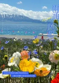 《雨涌风起（强制 nph）》小说大结局 绿染最新力作