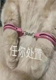 穿越单元合集gl（纯百+futa+abo）2025全章节阅读 穿越单元合集gl（纯百+futa+abo）小说免费阅读