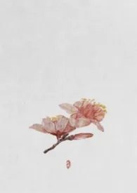 红蓼（古言1v1）2025全章节阅读 红蓼（古言1v1）小说免费阅读